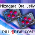 Nizagara Oral Jelly 14